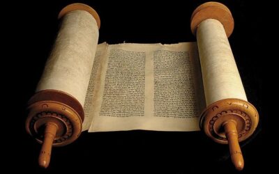 Les documents du Comité.